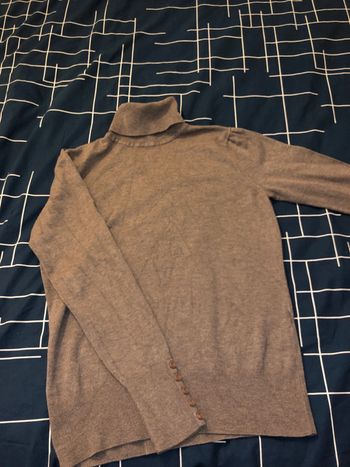 Pull col roulé camaïeu