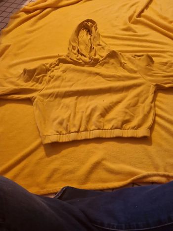 Petit pull a capuche