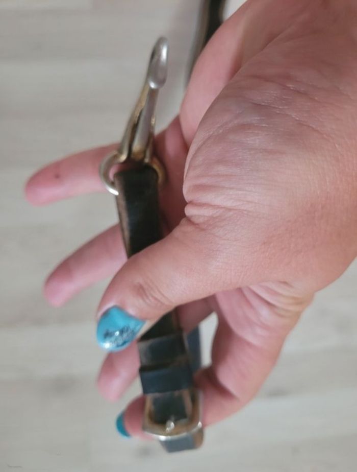 Collier de chasse équitation taille cheval - photo numéro 7