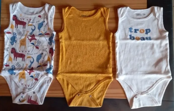 Lot 3 bodies 18 mois bon état