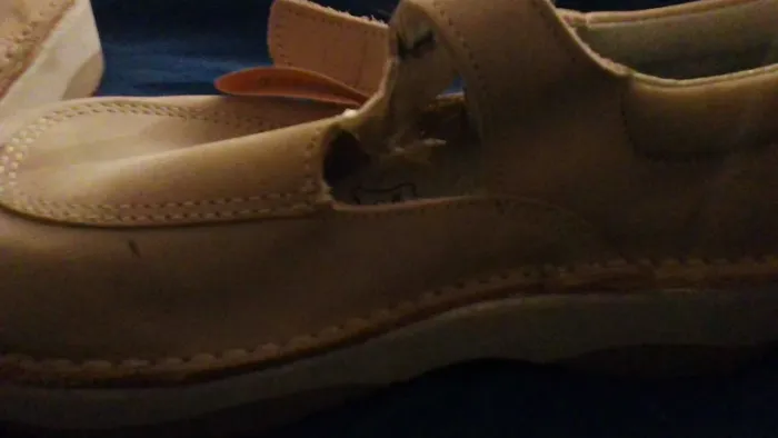 Chaussures