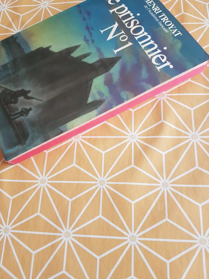 Le prisonnier n°1 de Henri Troyat - photo numéro 3