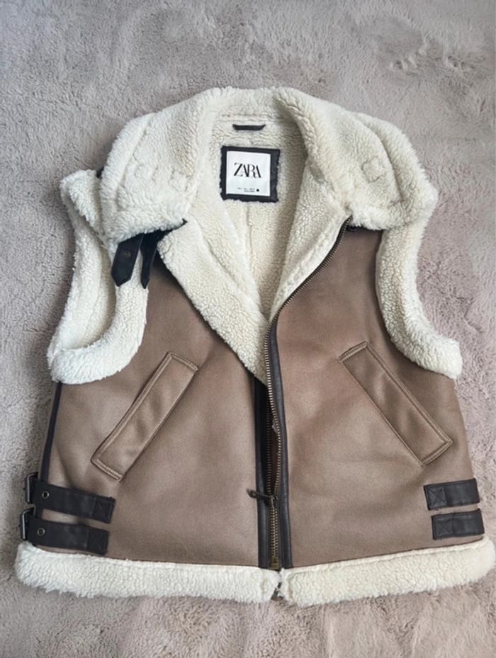 Bombardier Zara - photo numéro 5