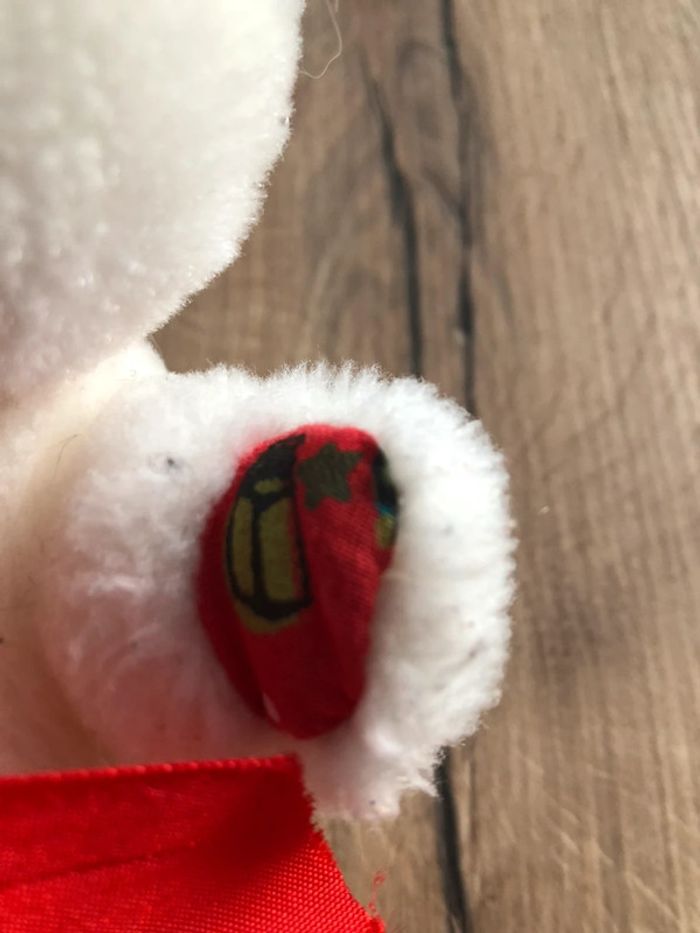 Ourson blanc - photo numéro 2