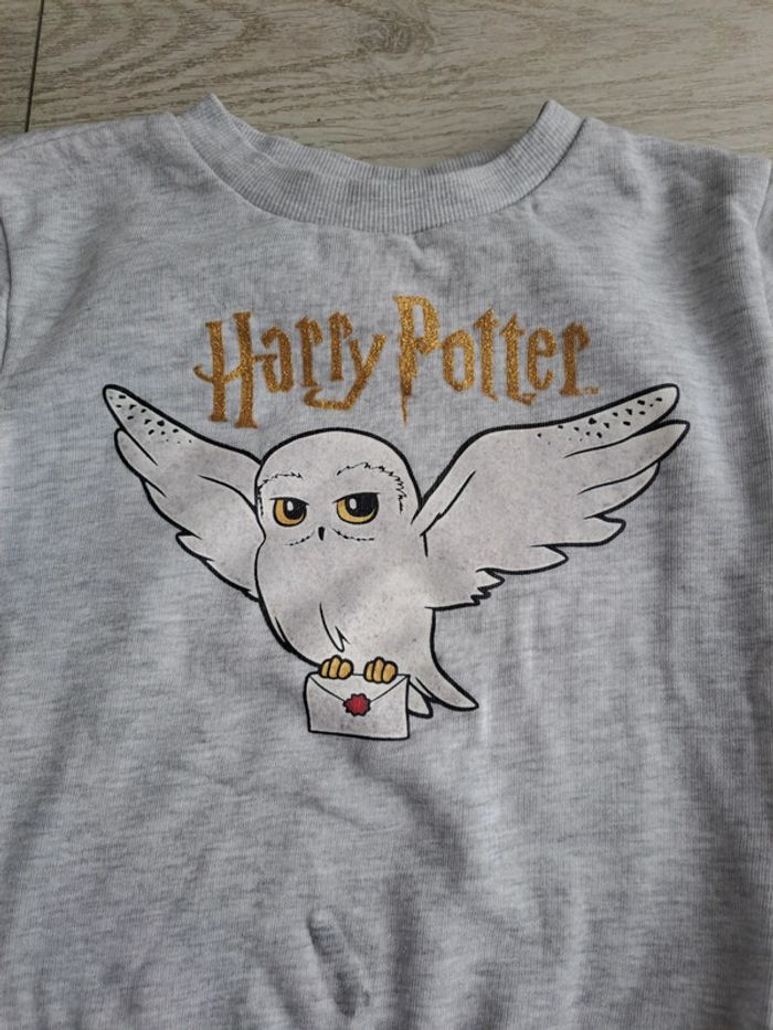Pull harry potter - photo numéro 7