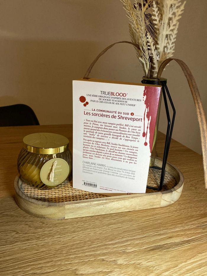 La communauté du sud - photo numéro 2