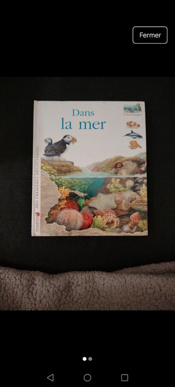 Dans la mer