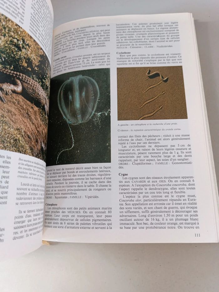 La nouvelle encyclopédie des animaux France loisirs édition 1980 - photo numéro 18