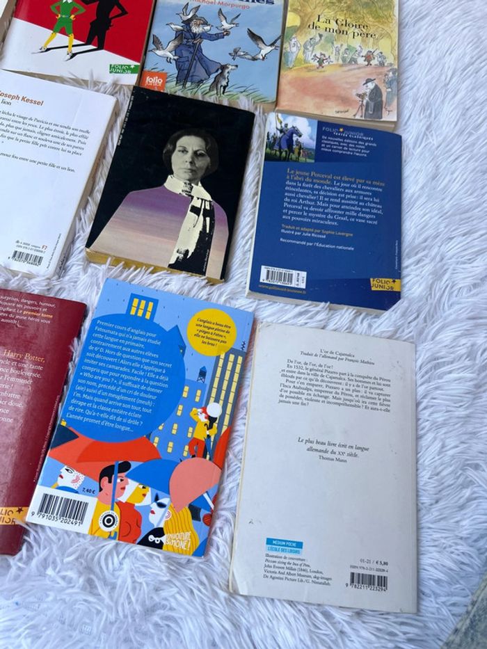 Lot de livres classique, collège et lycée - photo numéro 6