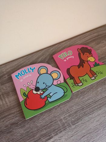 Lot de deux livres pour enfants