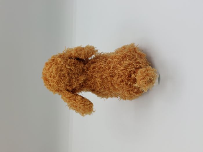 Petite Peluche doudou chien caniche JEMINI marron miel 16 cm bouclette - photo numéro 2
