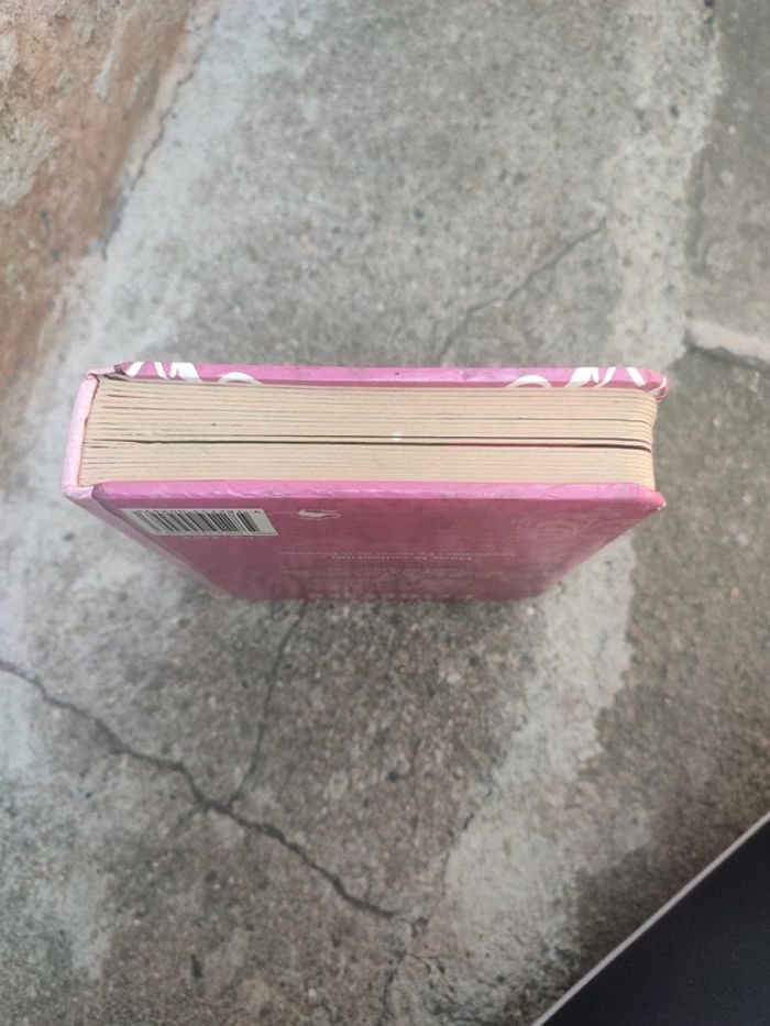 Livre le secret de la princesse - photo numéro 4
