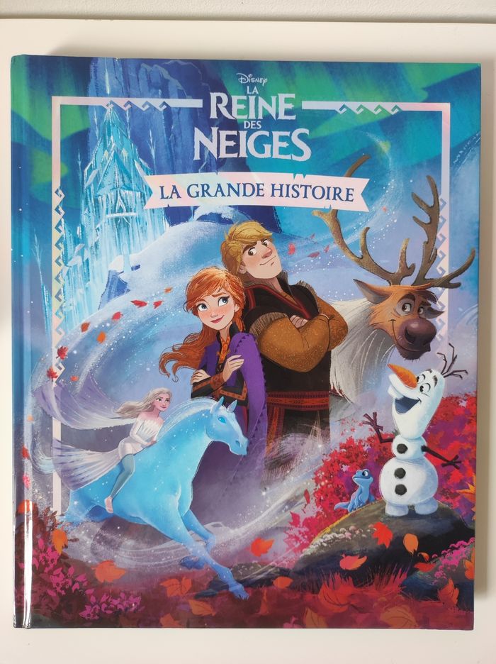Livre la reine des neiges la grande histoire