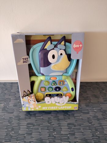 Ordinateur bluey