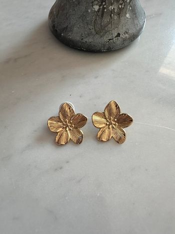 Boucles d’oreilles fantaisie