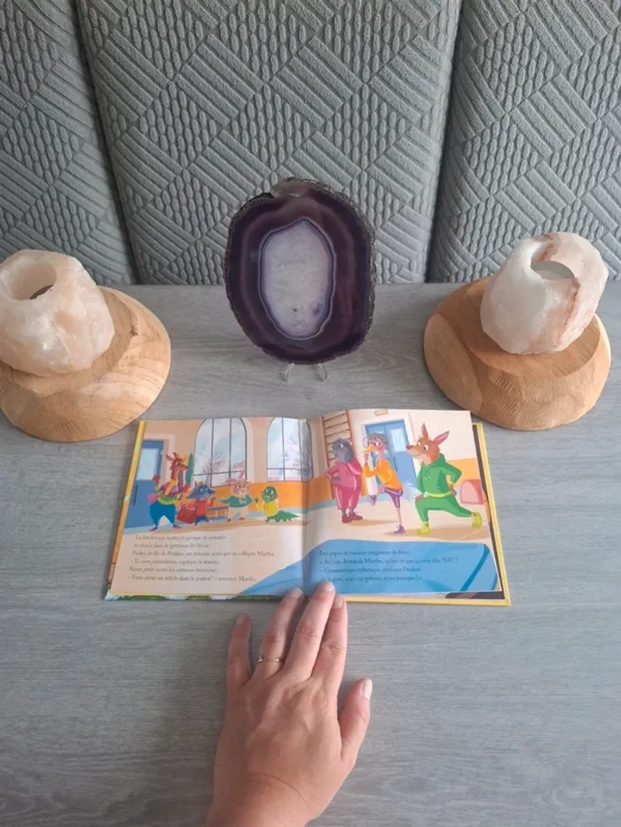 Livre Mcdo le spectacle de gymnastique - photo numéro 3