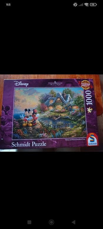 Puzzle Disney " Minnie et mickey "