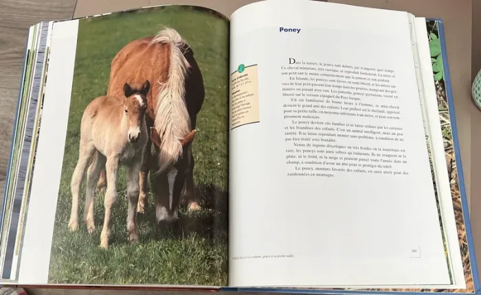 Livre les bébés animaux - photo numéro 5