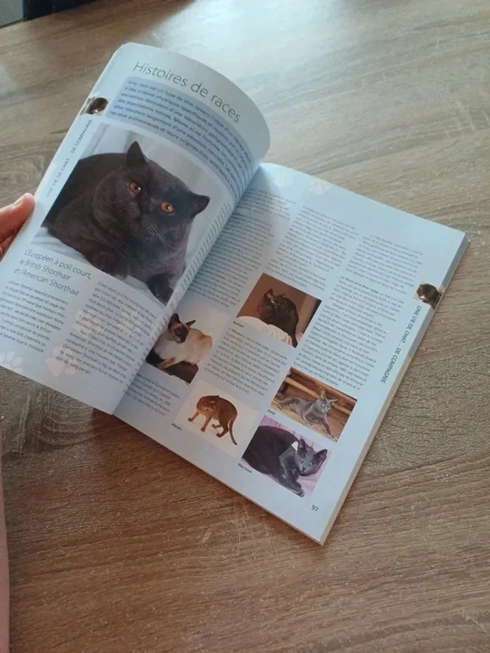 Livre " 100 clés pour comprendre son chat " - photo numéro 6
