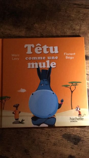 Têtu comme une mule