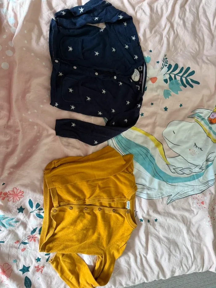 Lot de deux gilet fille