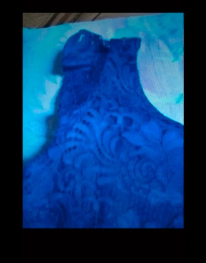 Robe habillée en dentelle - photo numéro 3