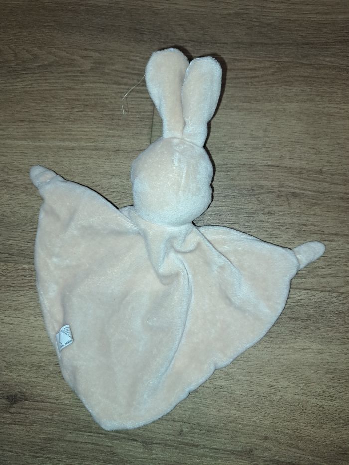 Lapin - photo numéro 3