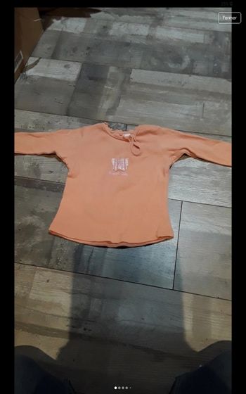 Tee shirt manche longue dessin papillon