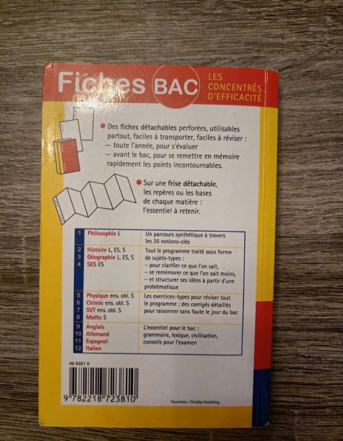 Fiches bac L ES S géographie - photo numéro 4