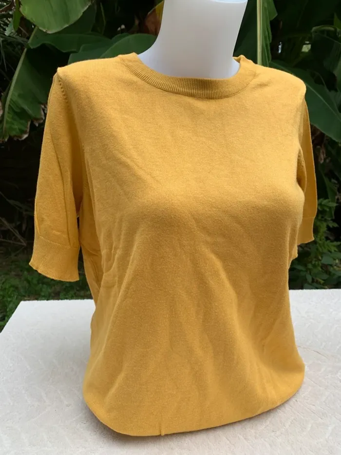 Pull Miller&Monroe taille XL manches courtes moutarde - photo numéro 4