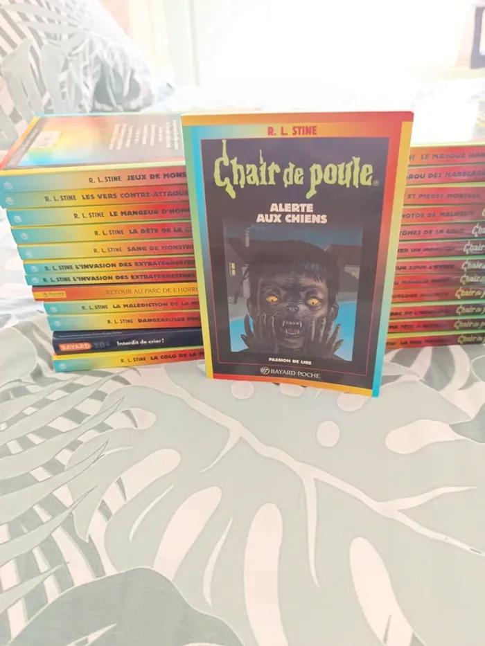 Lot livre chair de poule - photo numéro 2