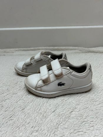 Basket Lacoste