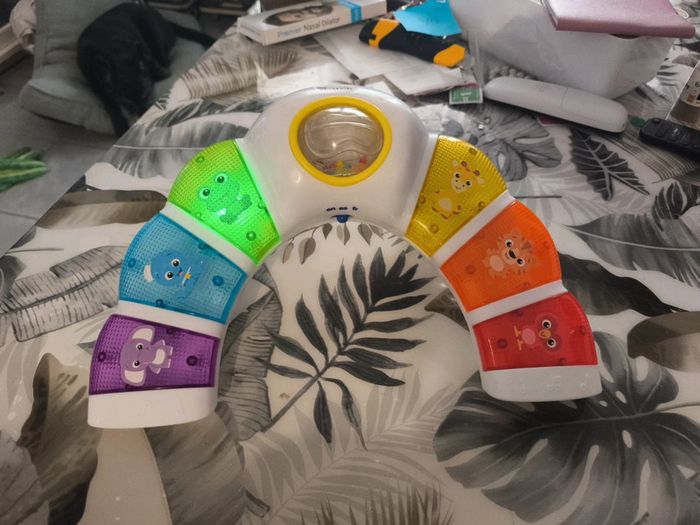 Arche lumineuse et sonore baby Einstein - photo numéro 3