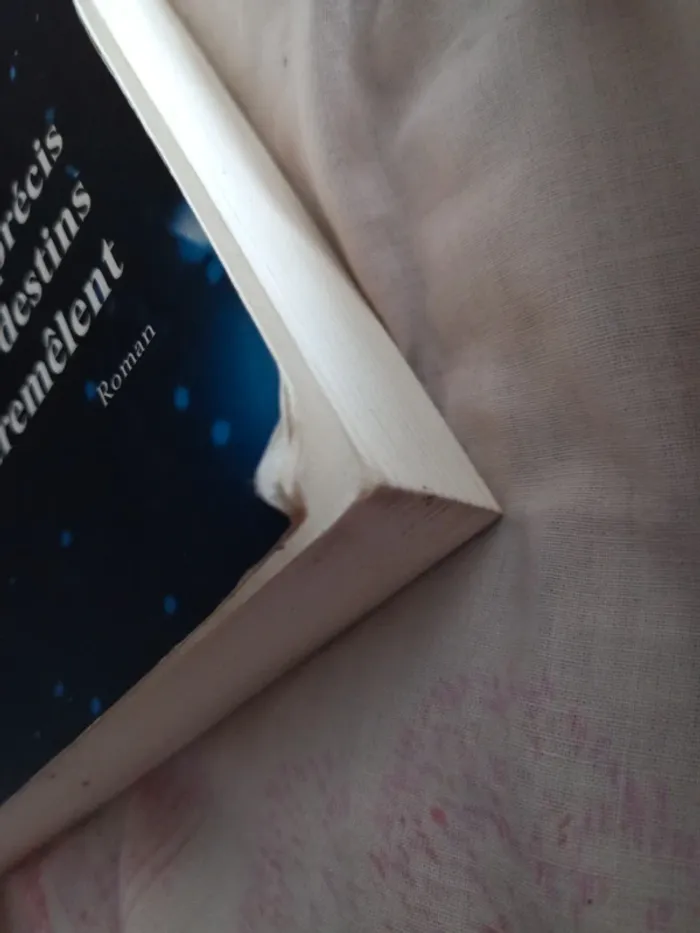 Livre l'instant précis où les destins s'entremêlent - photo numéro 4