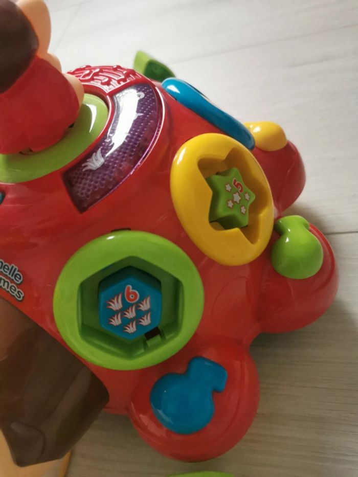 Coccinelle des formes - photo numéro 4