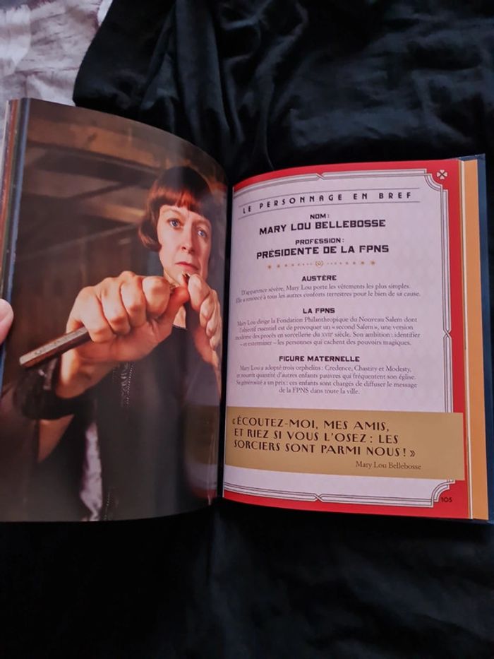 Livre animaux fantastiques - photo numéro 2