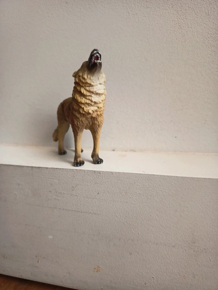 Loup hurleur - photo numéro 2