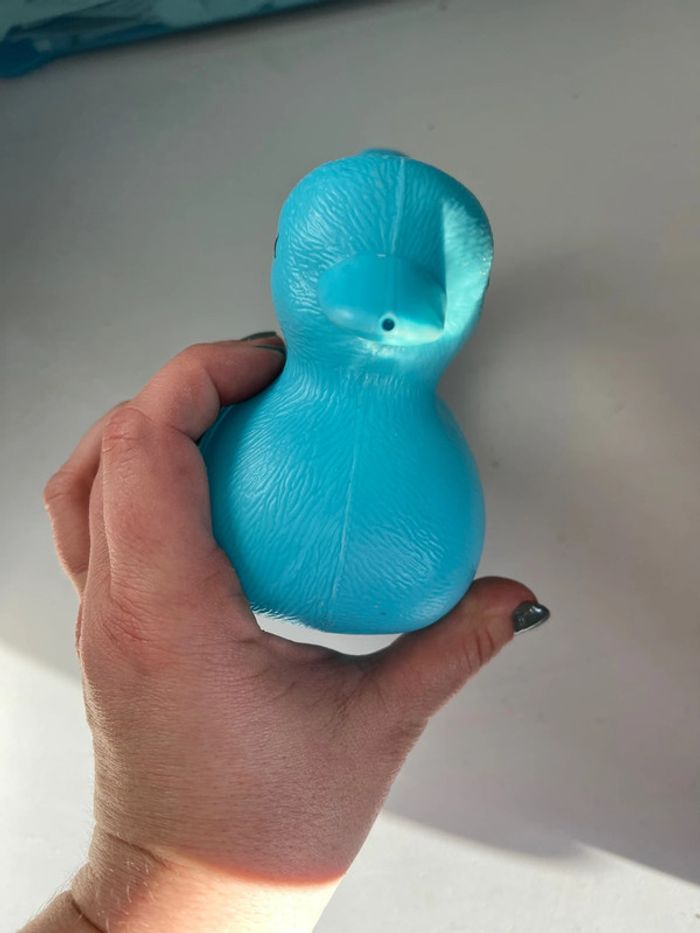 Arrosoir canard - photo numéro 2