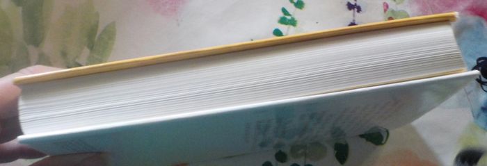 La conquête des sables de David Ball Ed. France Loisirs - photo numéro 5