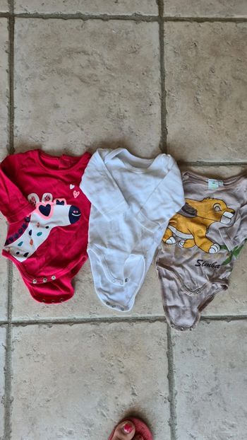 Lot de 3 bodies manche longue