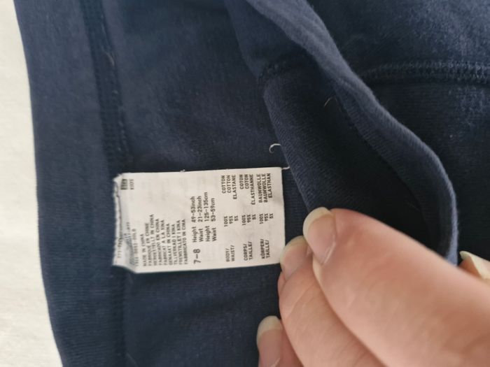 Boxer - photo numéro 3