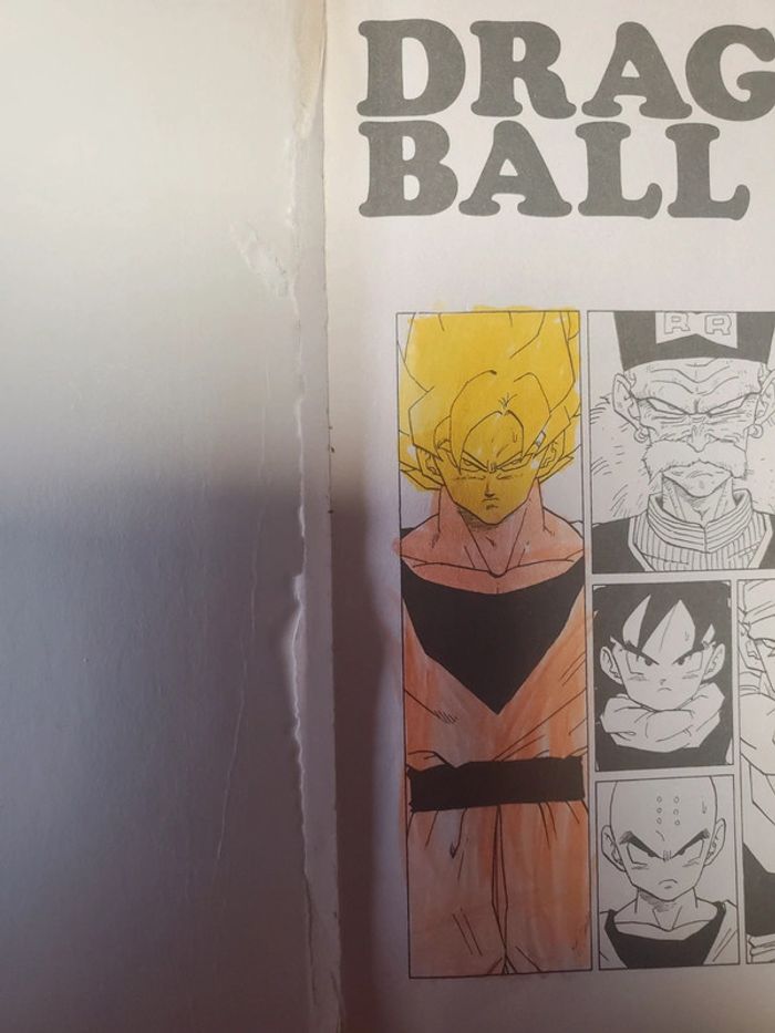 Manga Dragon Ball Z pastel 29 - photo numéro 4