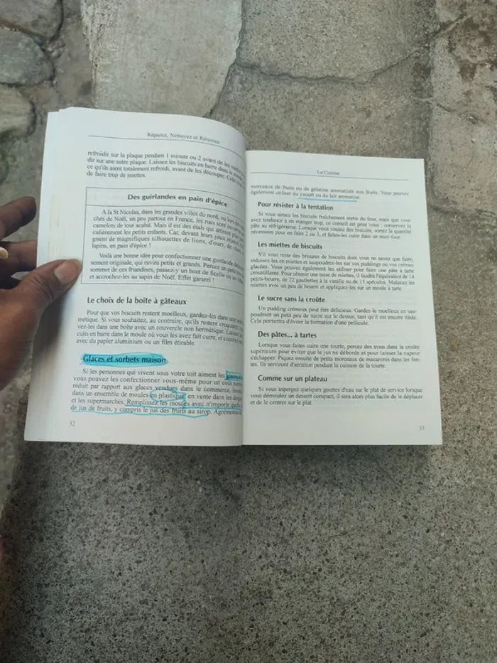 Livre réparez, nettoyez et rénovez - photo numéro 18