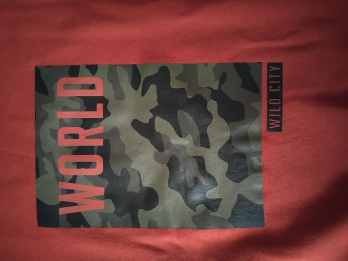 Sweat a capuche manche longue 8ans neuf - photo numéro 4