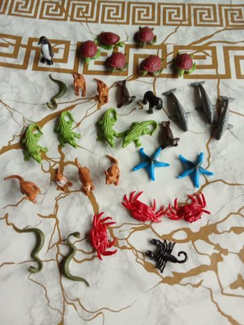 Figurine nature exploreres match