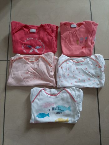Lot de 5 bodys manches courtes fille 18 mois