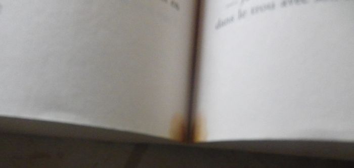 Le léopard de Jo Nesbq Ed. France Loisirs - photo numéro 6