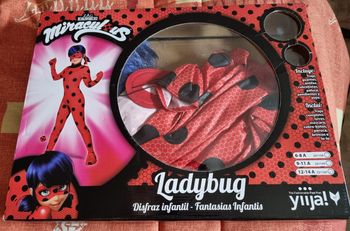 Déguisement Lady bug 14 ans