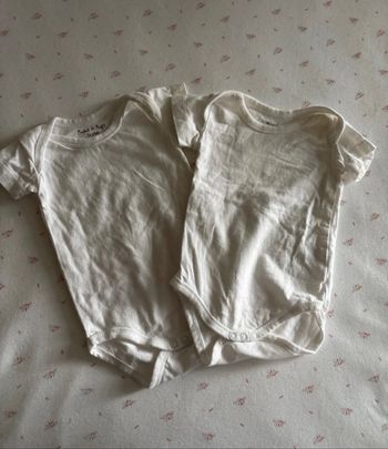 Lot bodies