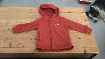 Veste sweat à capuche